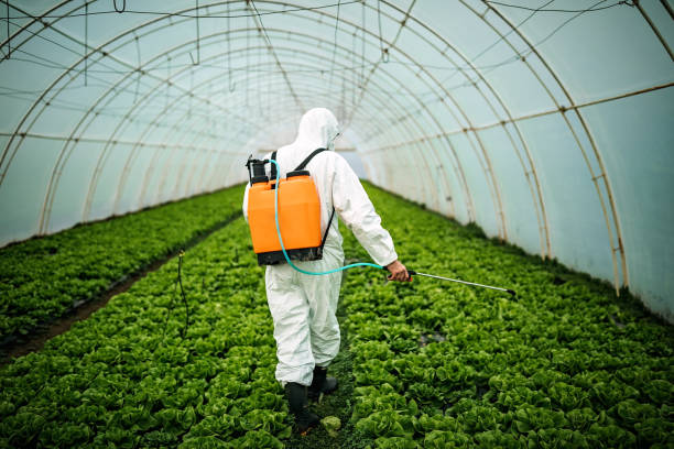 Best Affordable Pest Control Services  in Pen Mar, PA