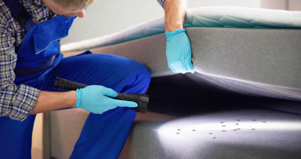 Reliable Pen Mar, PA Pest Control Solutions